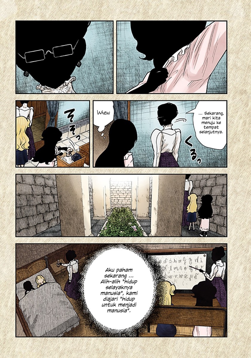 Shadows House