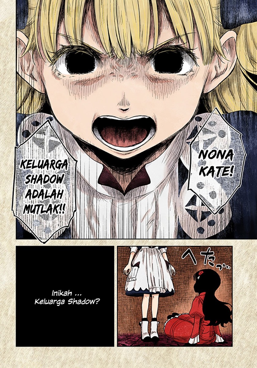 Shadows House