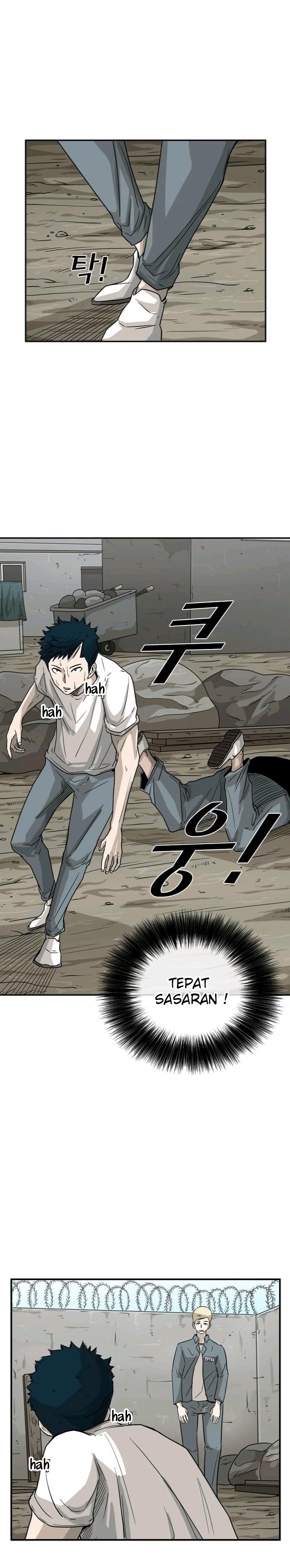 Shark