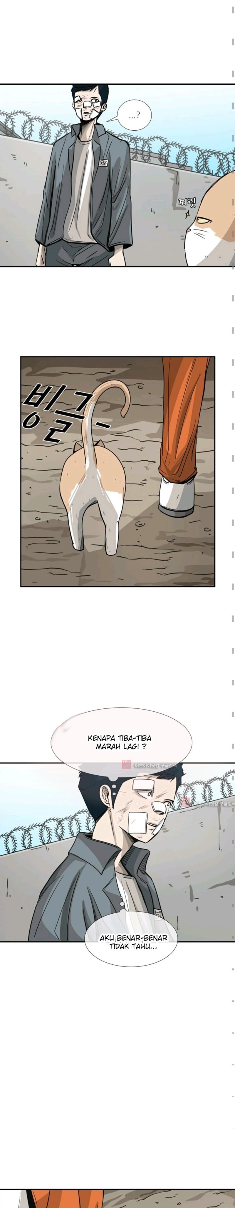 Shark