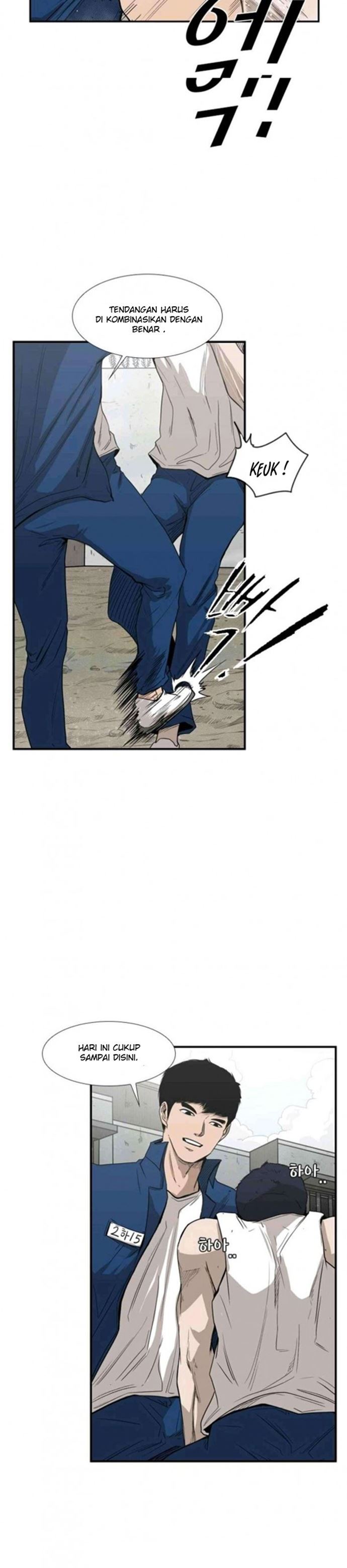 Shark