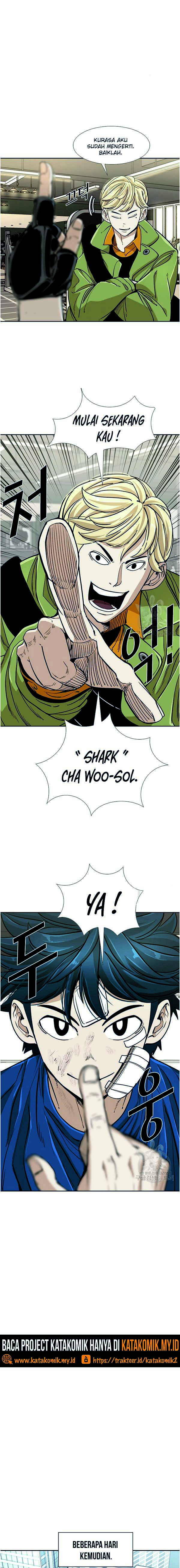 Shark