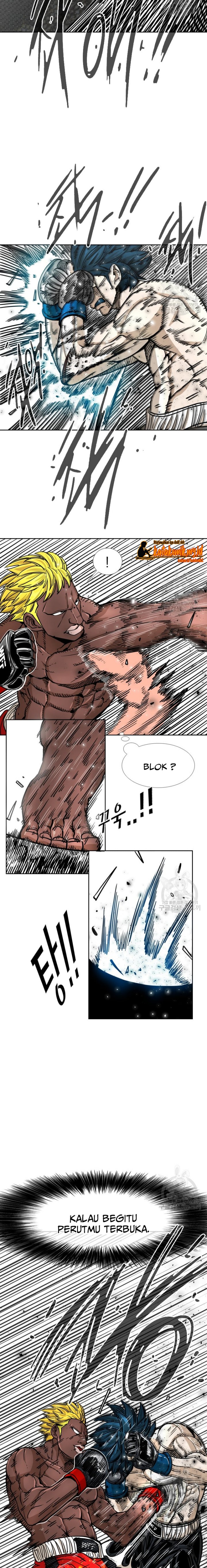 Shark