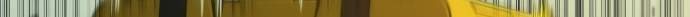 Solo Max-Level Newbie