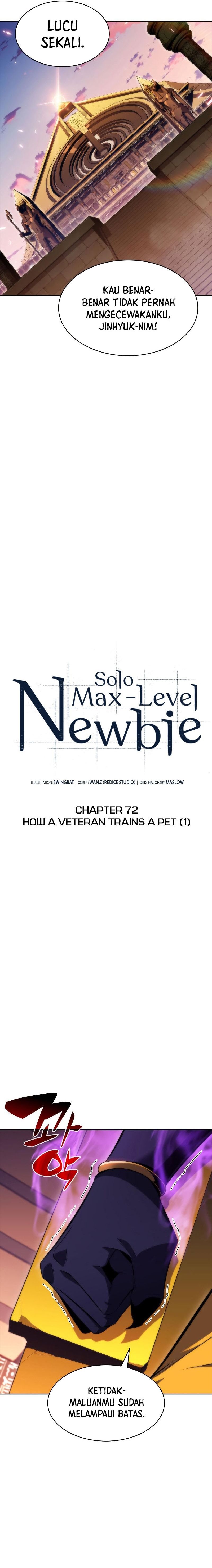 Solo Max-Level Newbie