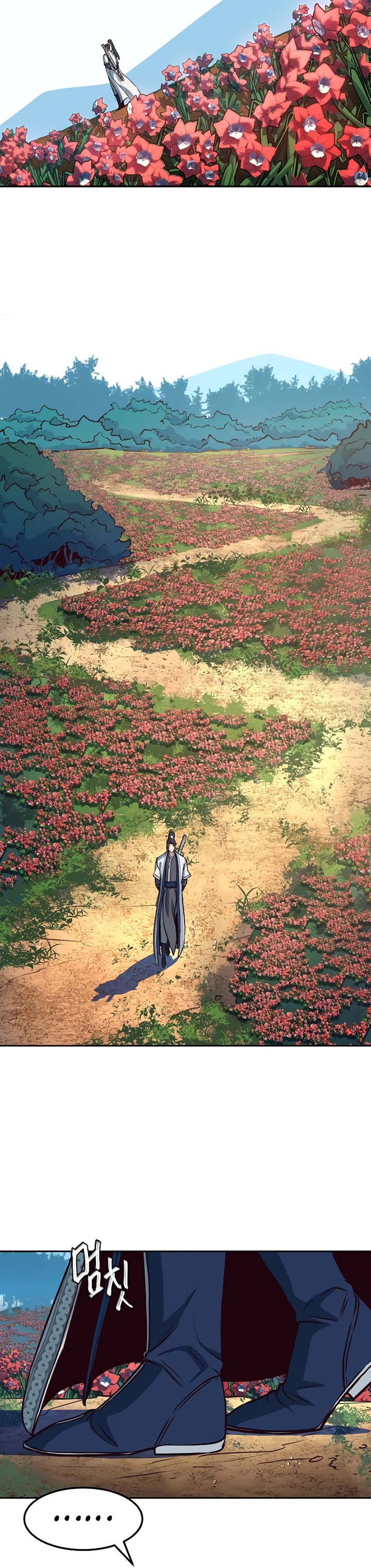 Sword Fanatic Wanders Through The Night