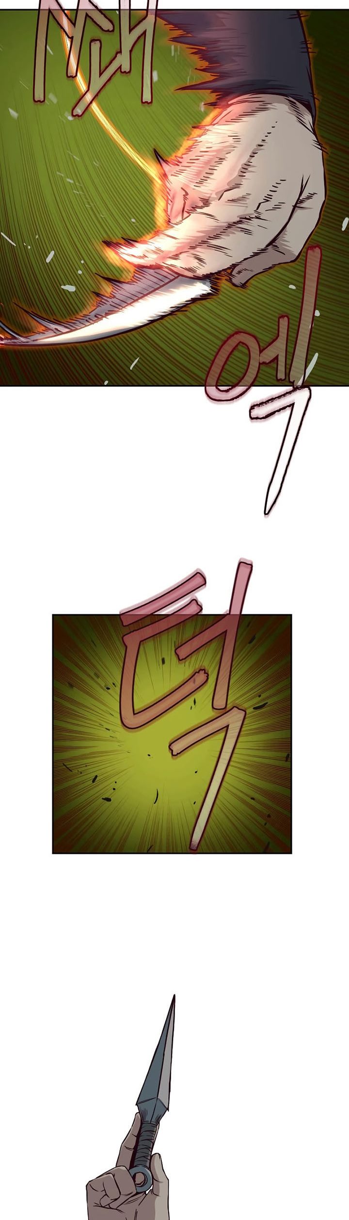Sword Fanatic Wanders Through The Night