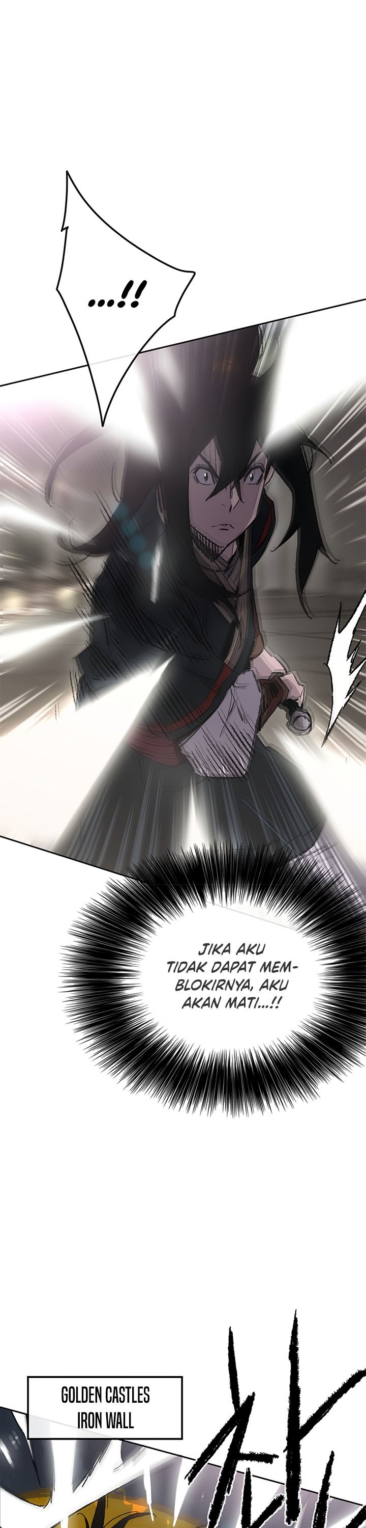 The Undefeatable Swordsman