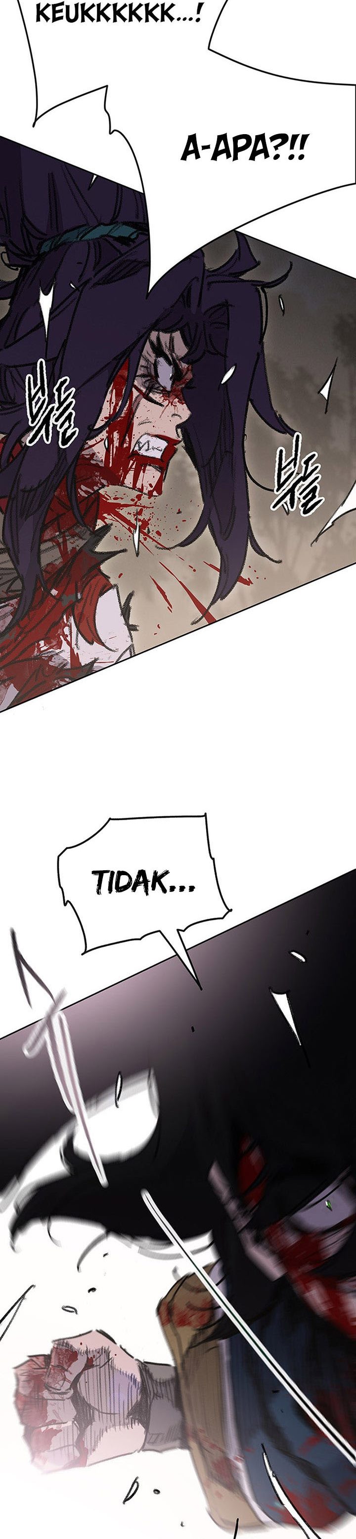 The Undefeatable Swordsman