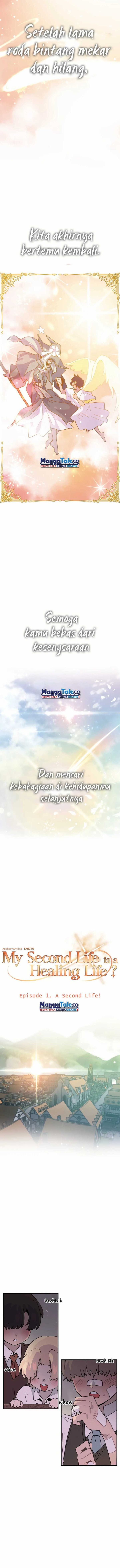 The Second Life Is a Healing Life?