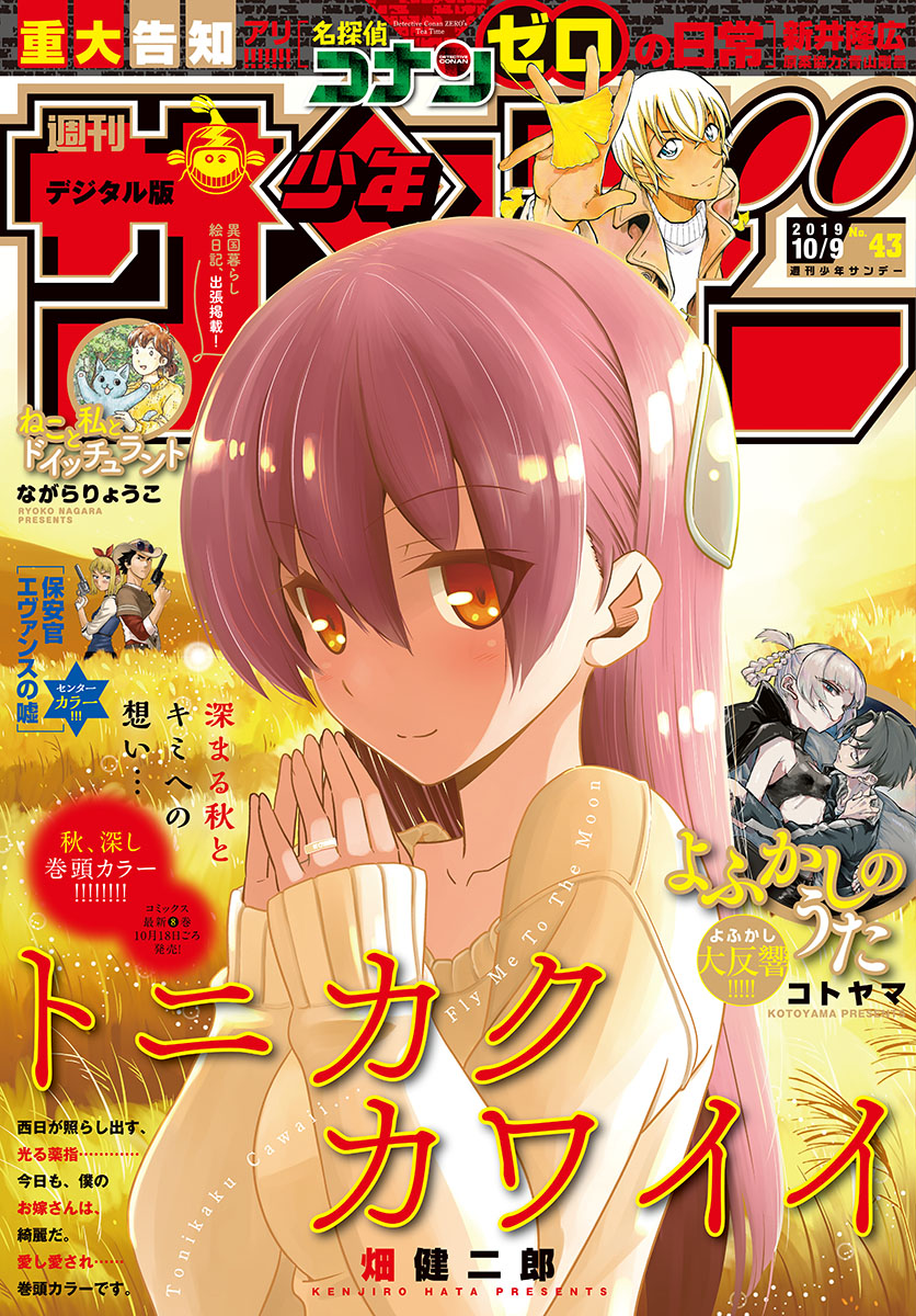 Tonikaku Kawaii