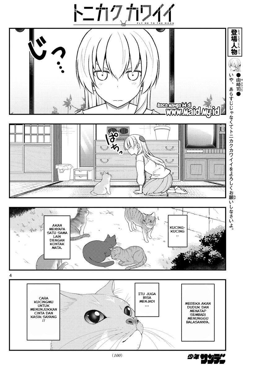 Tonikaku Kawaii