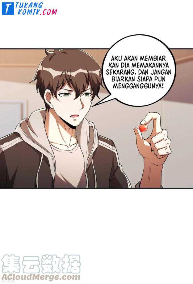 Useless First Son-In-Law (Magnificent Cohabiting Son-In-Law)
