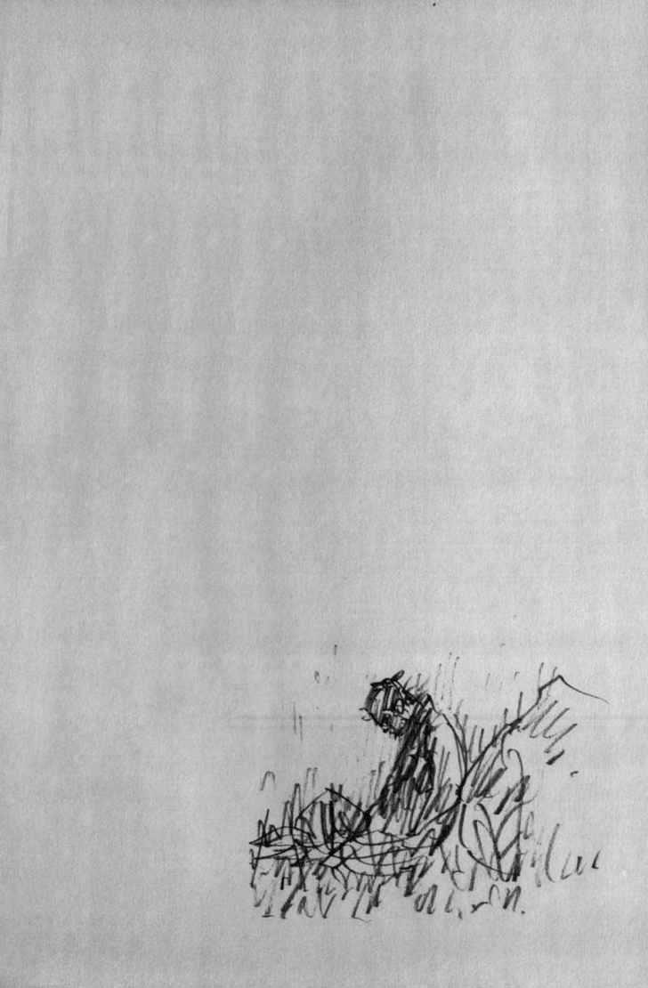Vagabond