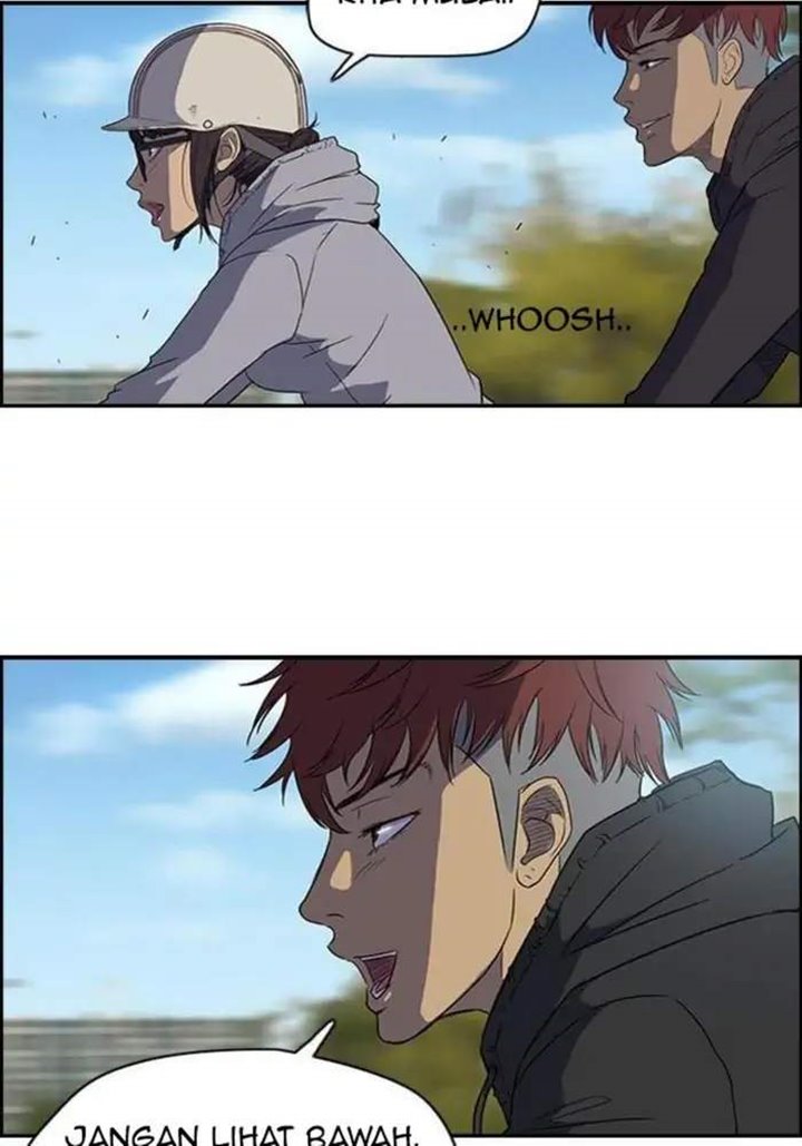 Wind Breaker