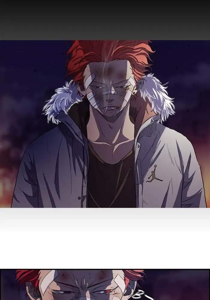 Wind Breaker
