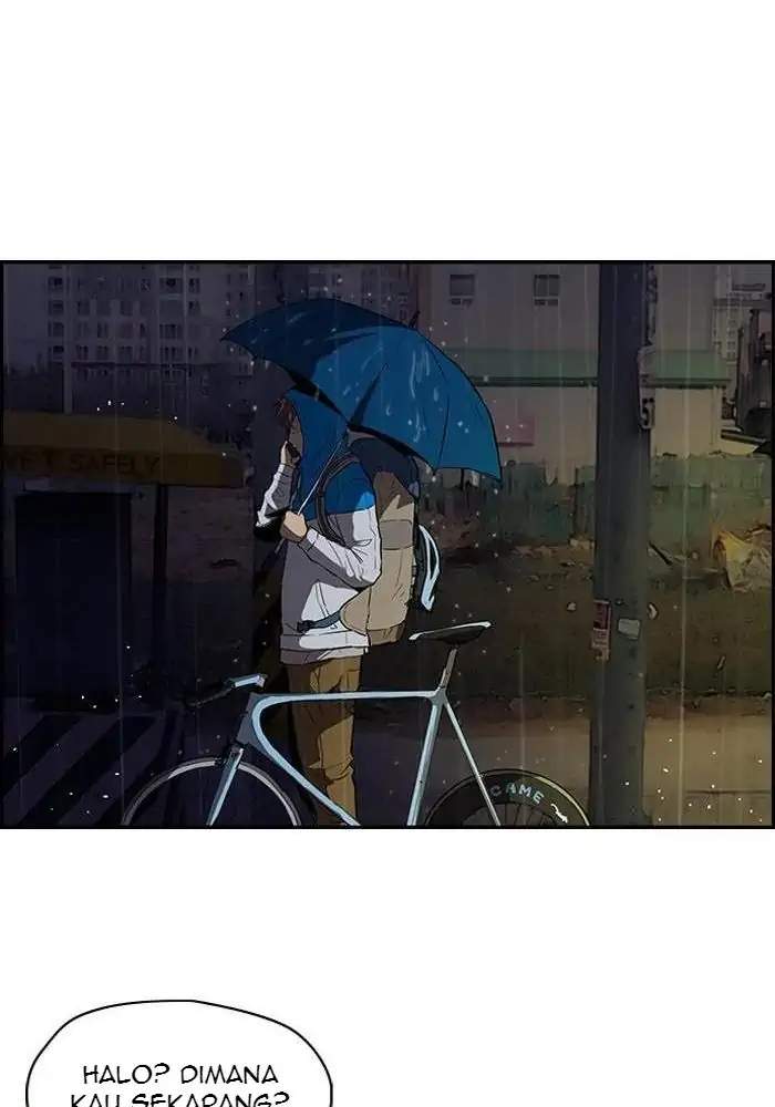 Wind Breaker