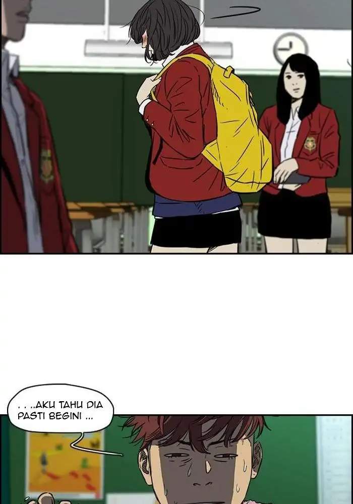 Wind Breaker