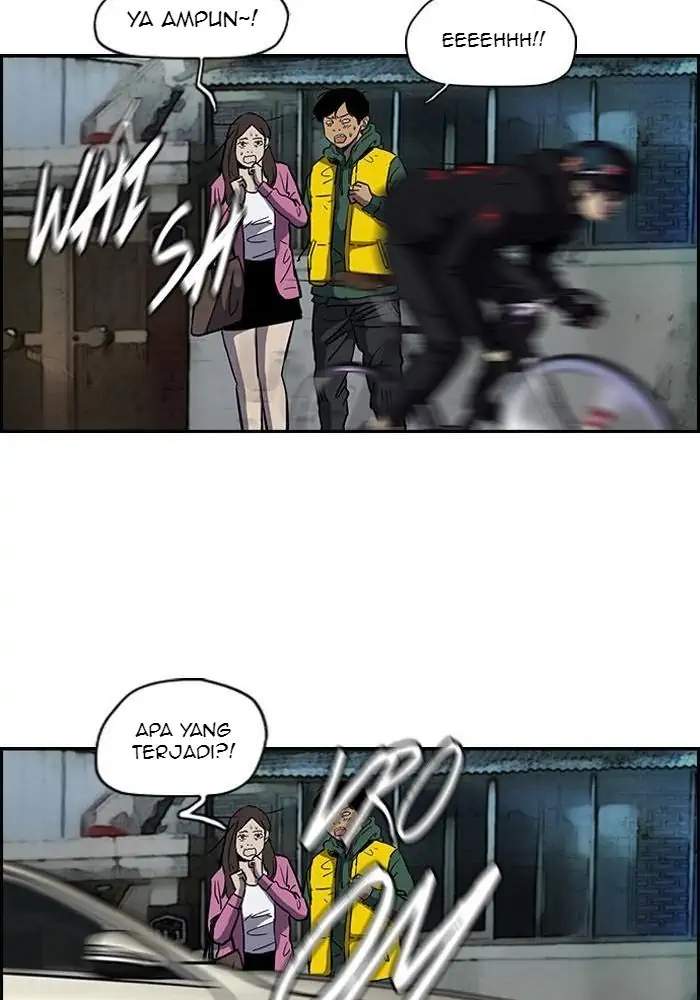 Wind Breaker