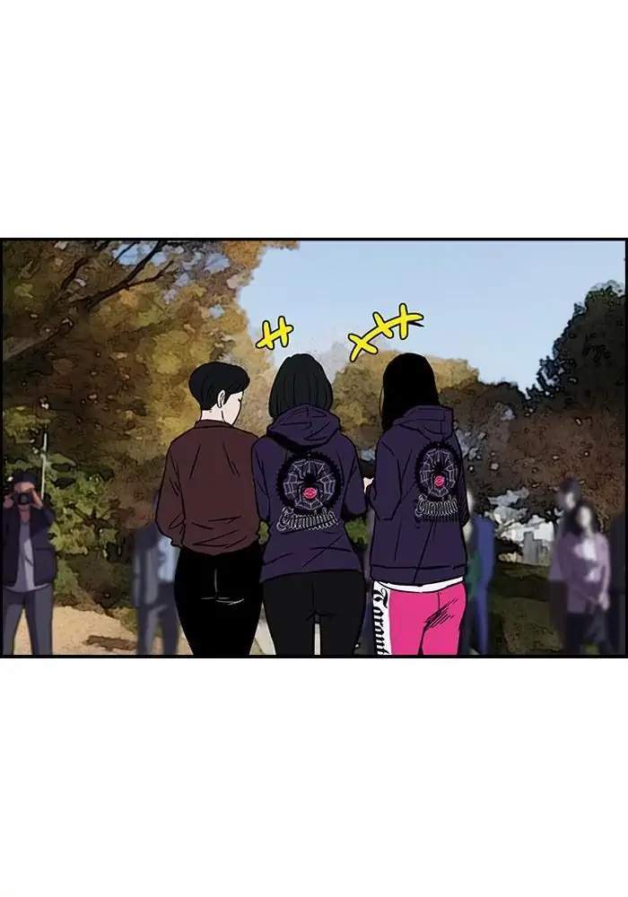Wind Breaker