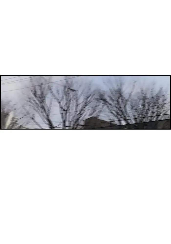 Wind Breaker