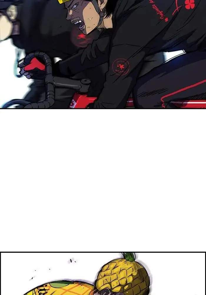 Wind Breaker