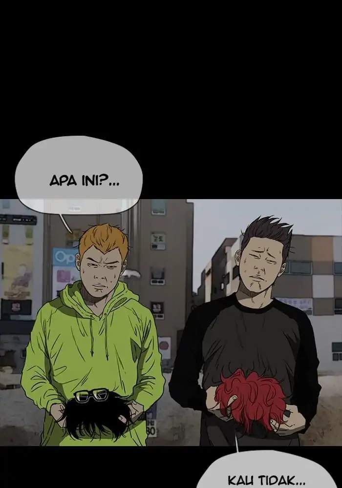 Wind Breaker