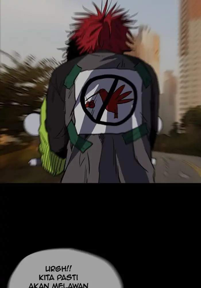 Wind Breaker