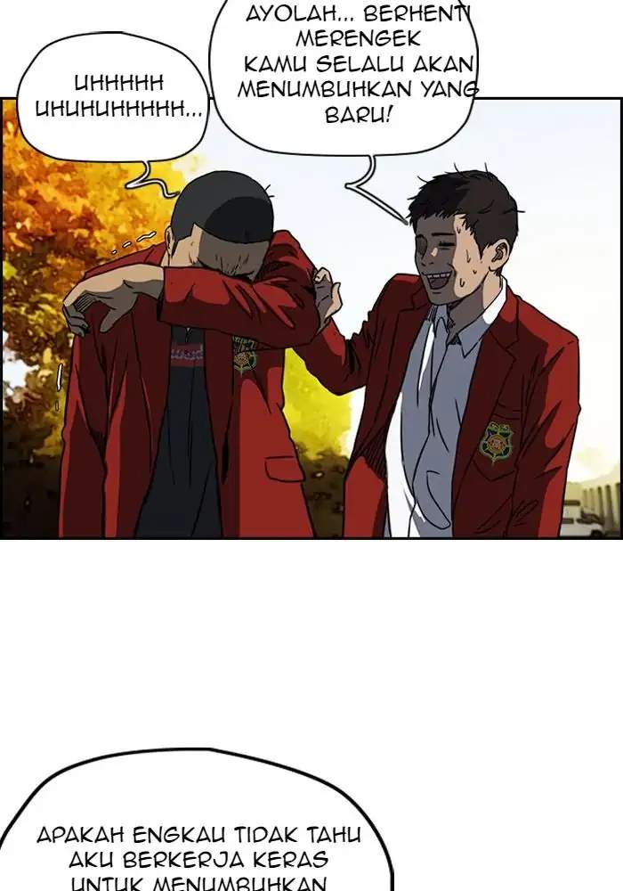 Wind Breaker