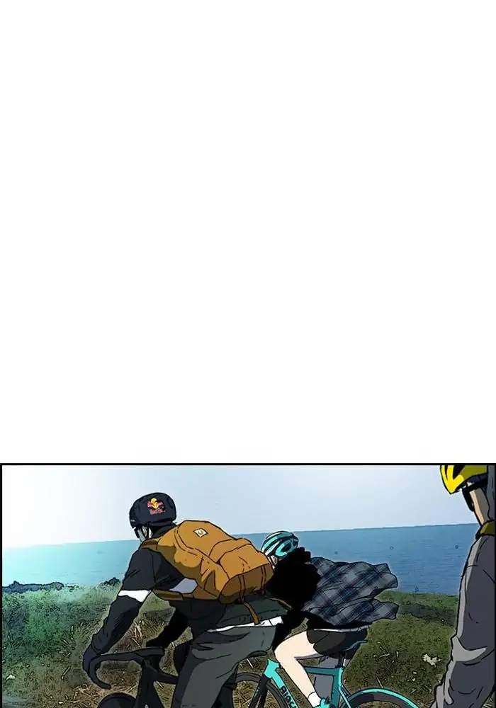Wind Breaker