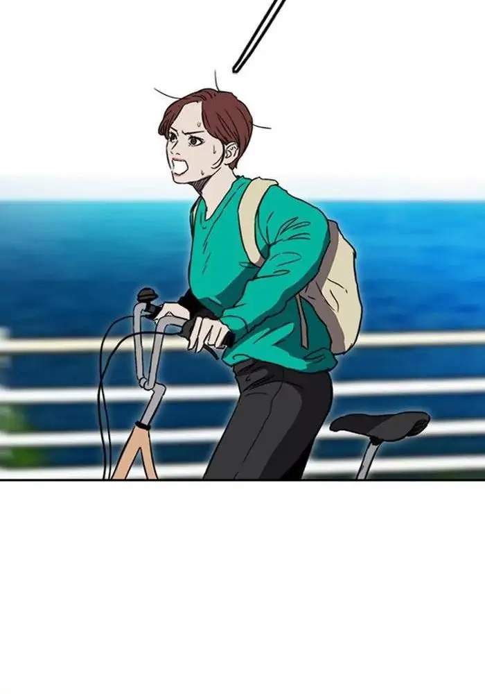 Wind Breaker