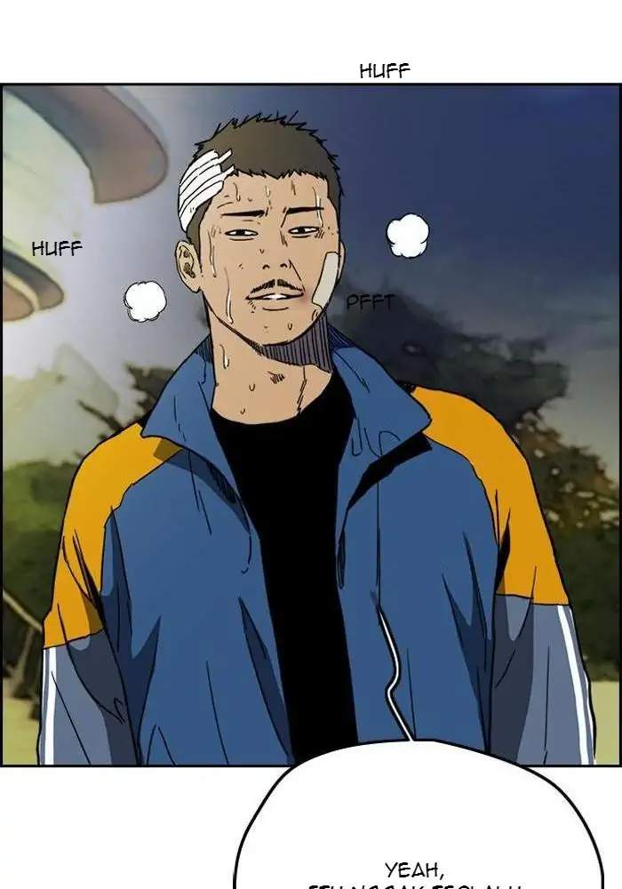 Wind Breaker