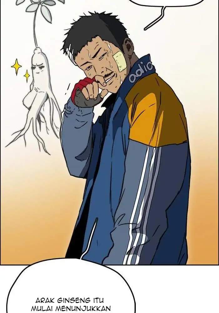 Wind Breaker