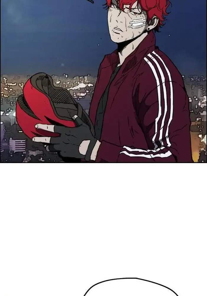 Wind Breaker