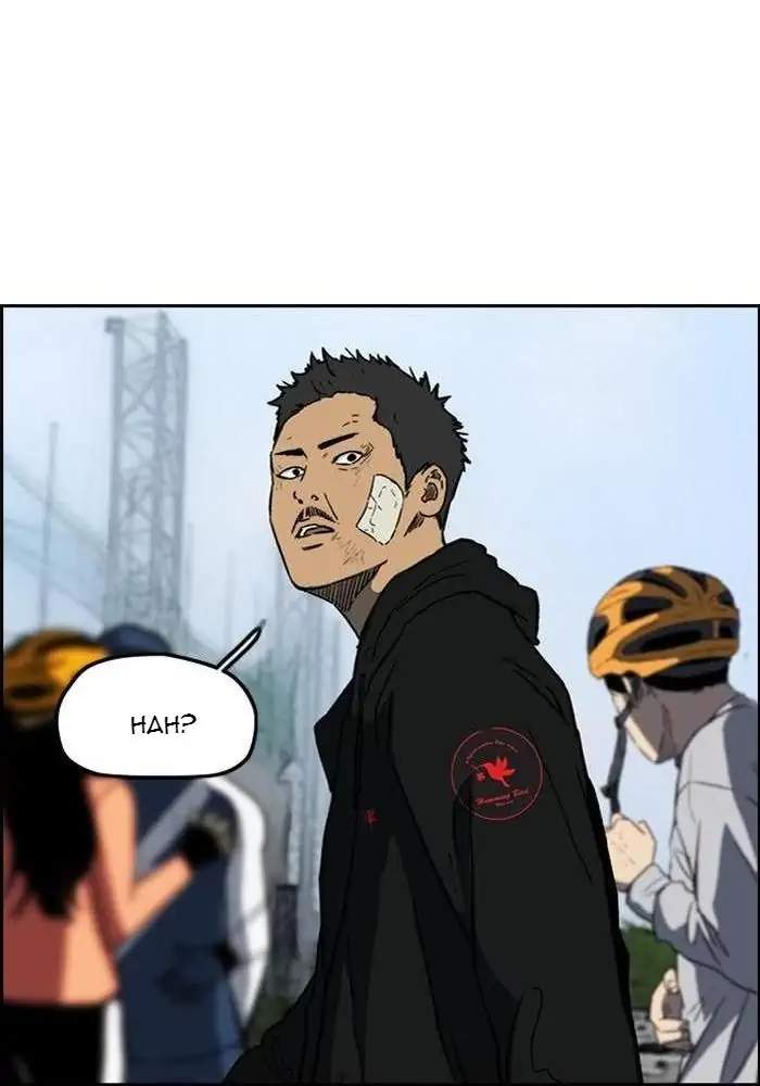 Wind Breaker