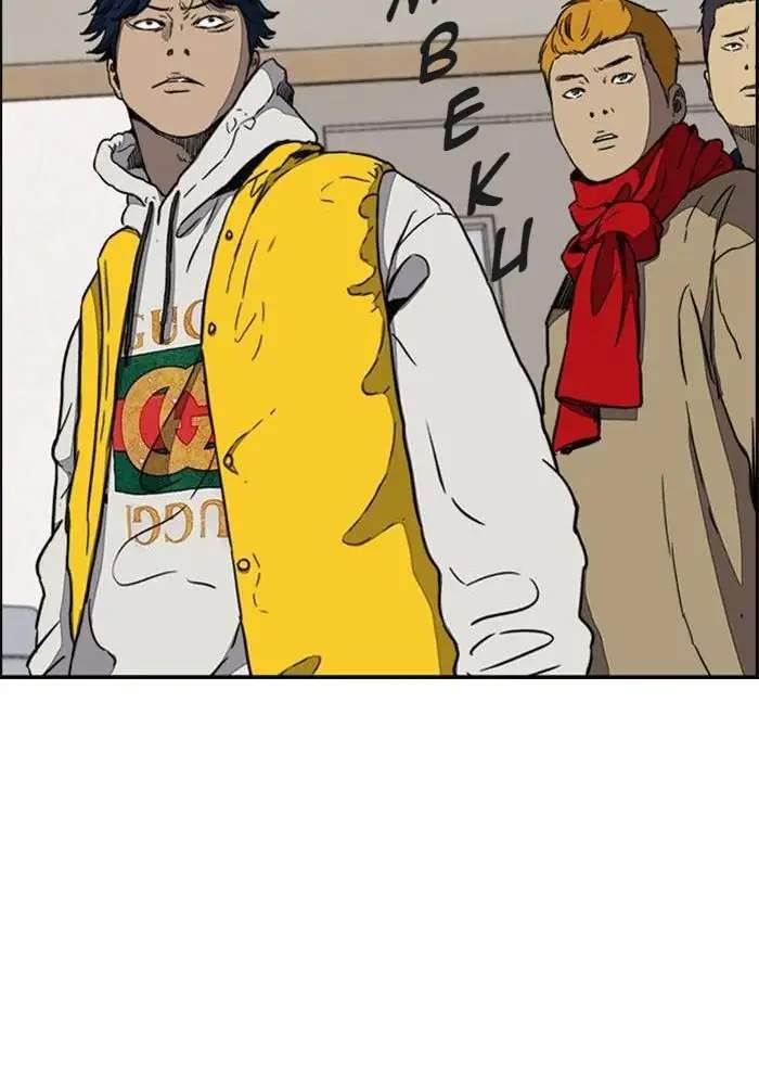 Wind Breaker