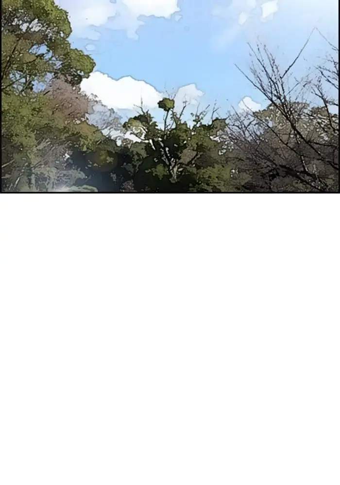 Wind Breaker