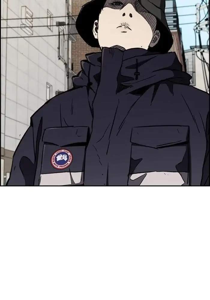 Wind Breaker