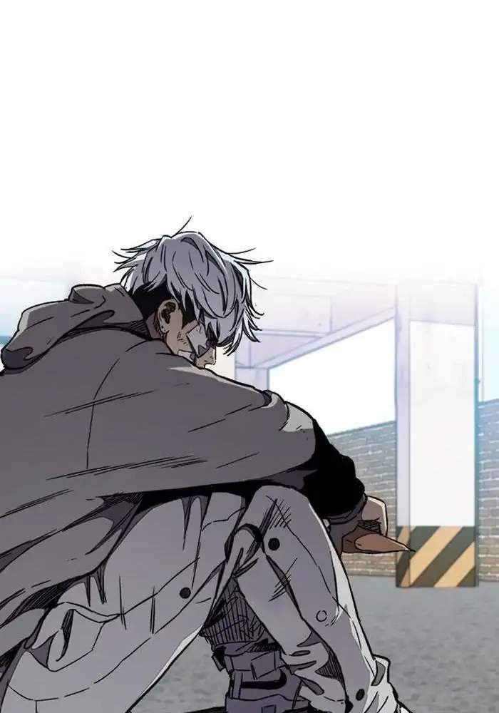 Wind Breaker