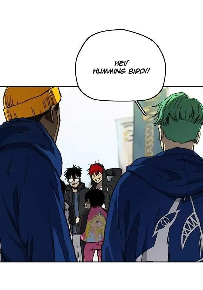 Wind Breaker