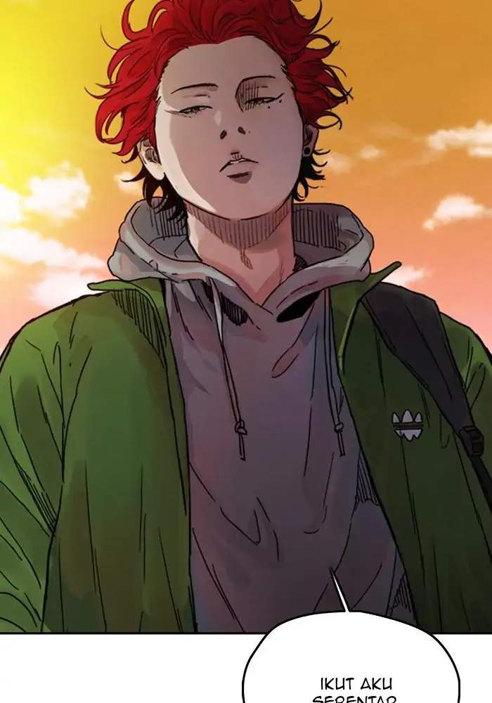 Wind Breaker