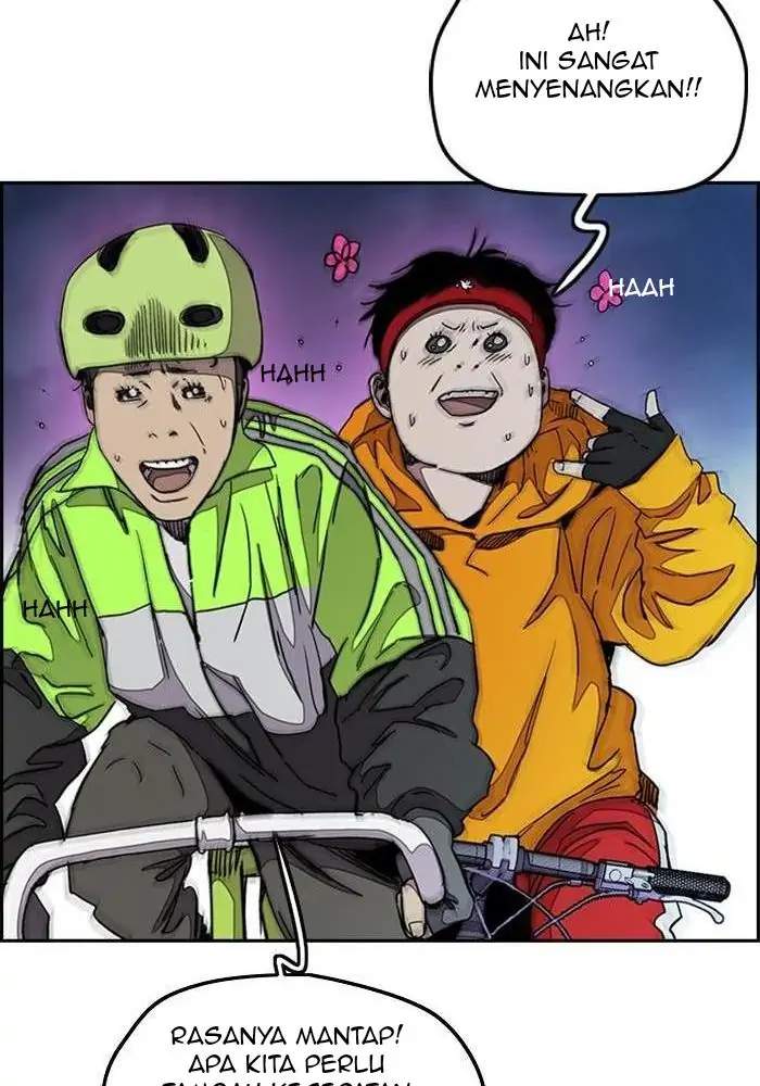 Wind Breaker