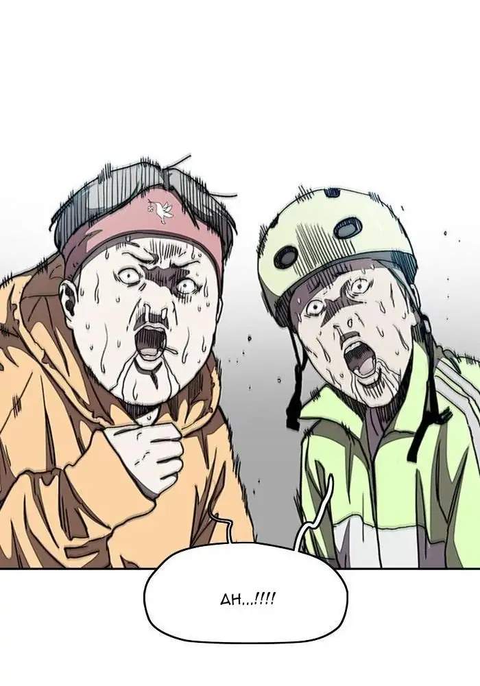 Wind Breaker