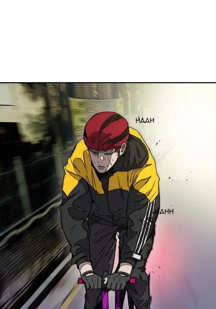 Wind Breaker