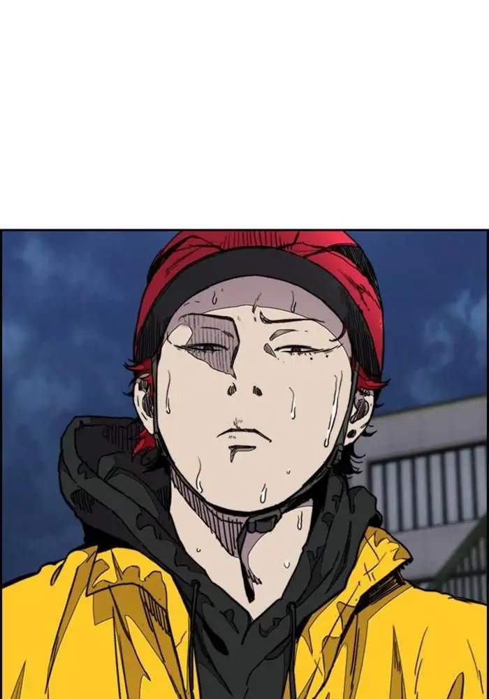 Wind Breaker