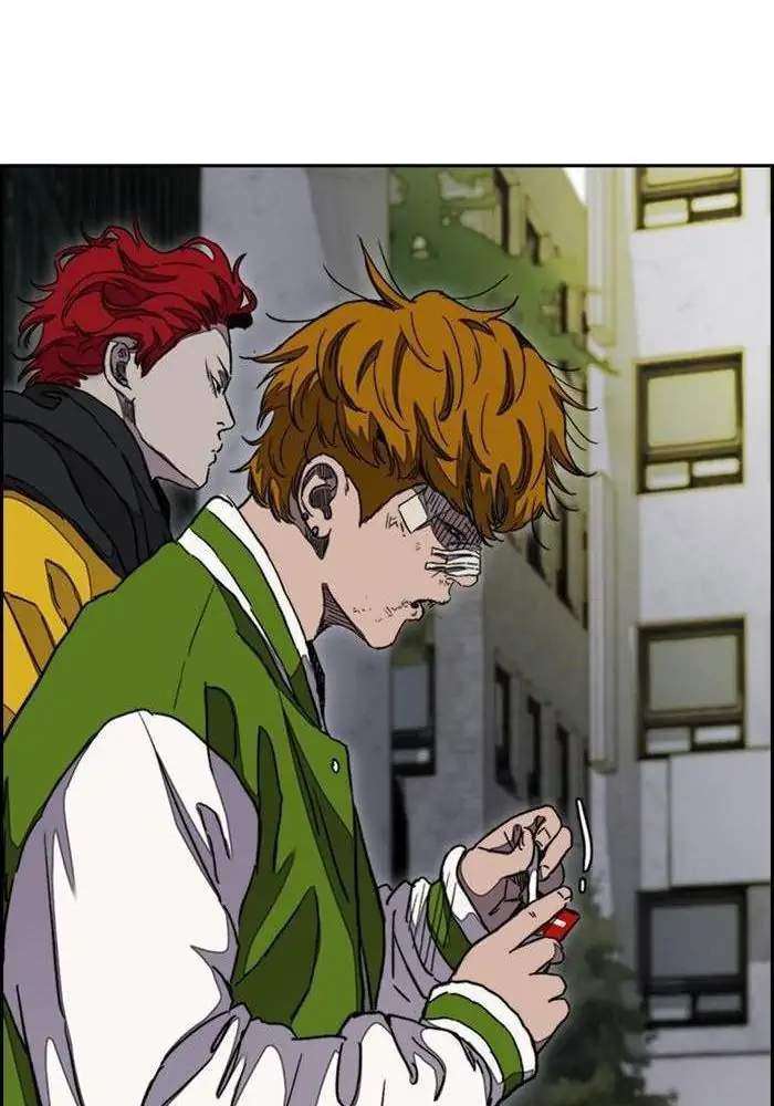 Wind Breaker