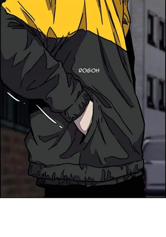 Wind Breaker