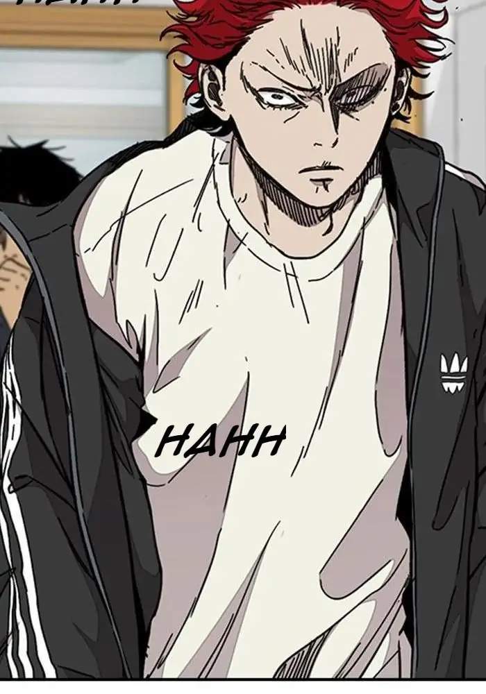 Wind Breaker