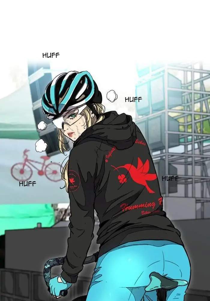 Wind Breaker