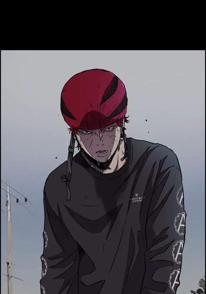 Wind Breaker